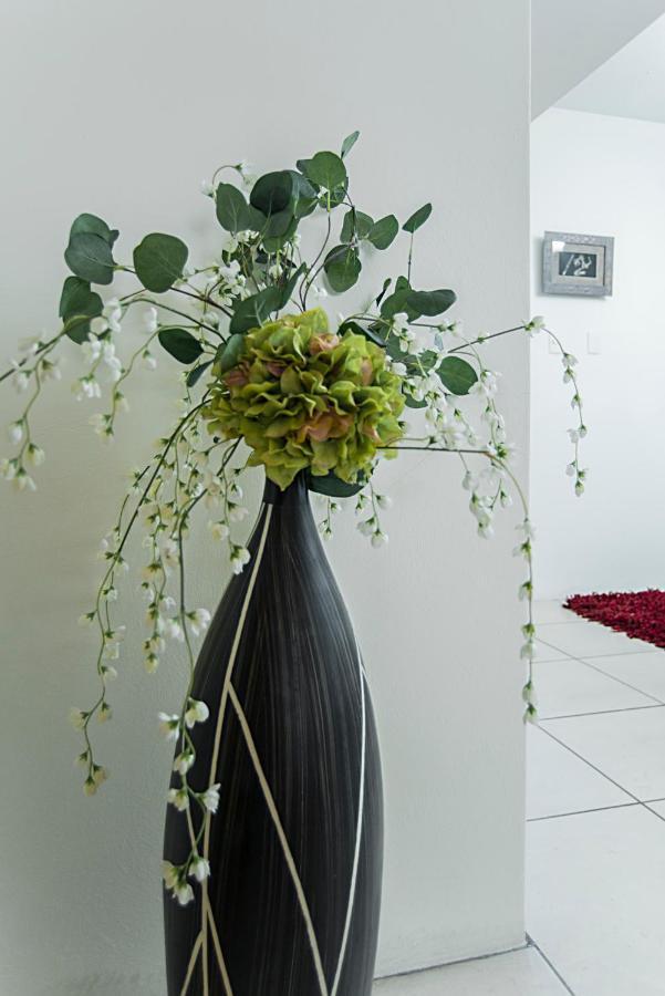 Amplio Y Bonito Departamento En La Col. La Paz Apartment Puebla Bagian luar foto